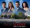 La Familia de al Lado.jpg