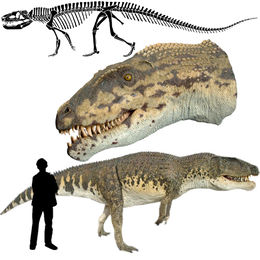 Postosuchus.jpg