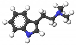 Dimethyltryptamine-3d-sticks.png
