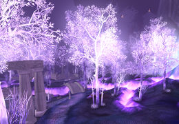Crystalsong Forest.jpg