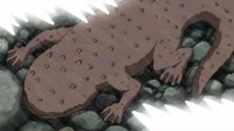 Salamandra negra anime.jpg