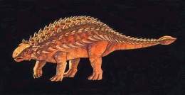 Ankylosaurus.jpg
