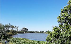 Lagoa de vela 4.jpg
