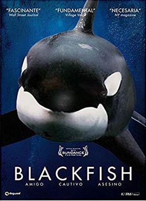 Blackfish.jpg