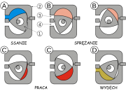 Esquema del funcionamiento del motor Wankel
