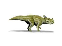 ImagenMontanoceratops.jpg
