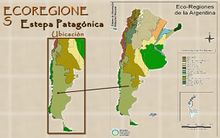 Estepa patagonica.jpg