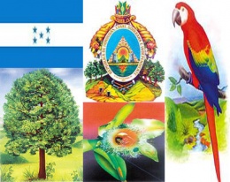 Simbolos de Honduras.JPG