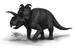 Albertaceratops.JPG