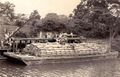 Embarcadero de patanas de azúcar en el río Sagua la Grande a inicios del siglo XX