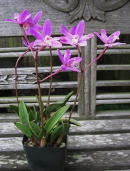 61273 73c29e6ad4b0e78cf9da45884c605687.JPG