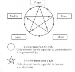 Teoria de los 5 elementos.JPG