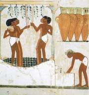Vino Egipto.jpg
