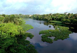 Rio isabela.jpg
