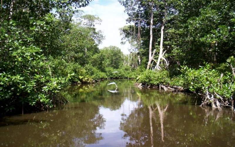 Archivo:Rio Sinú.jpg
