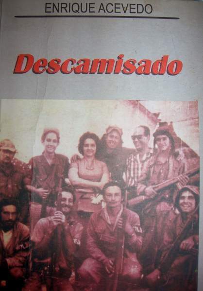 Archivo:Libro Descamisado.jpg