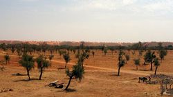Sahel.jpg