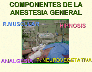 Anestesia.GIF