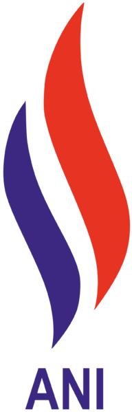 Archivo:Partido ANI.png