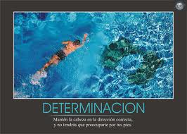 Archivo:Determinacion1.jpeg
