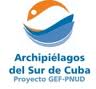 Logo delproyectoarchp sur.jpeg