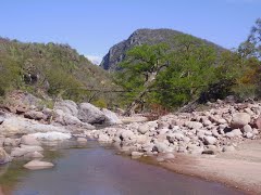 82549930 aguacate.jpg