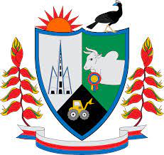 Archivo:Escudo el paujil caqueta.jpg