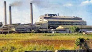 CentralBraulio Coroneux.jpg