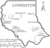 Livingston mapa.jpeg