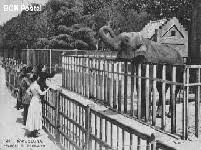 Parque zoológico Nac, de El Salvador.jpg