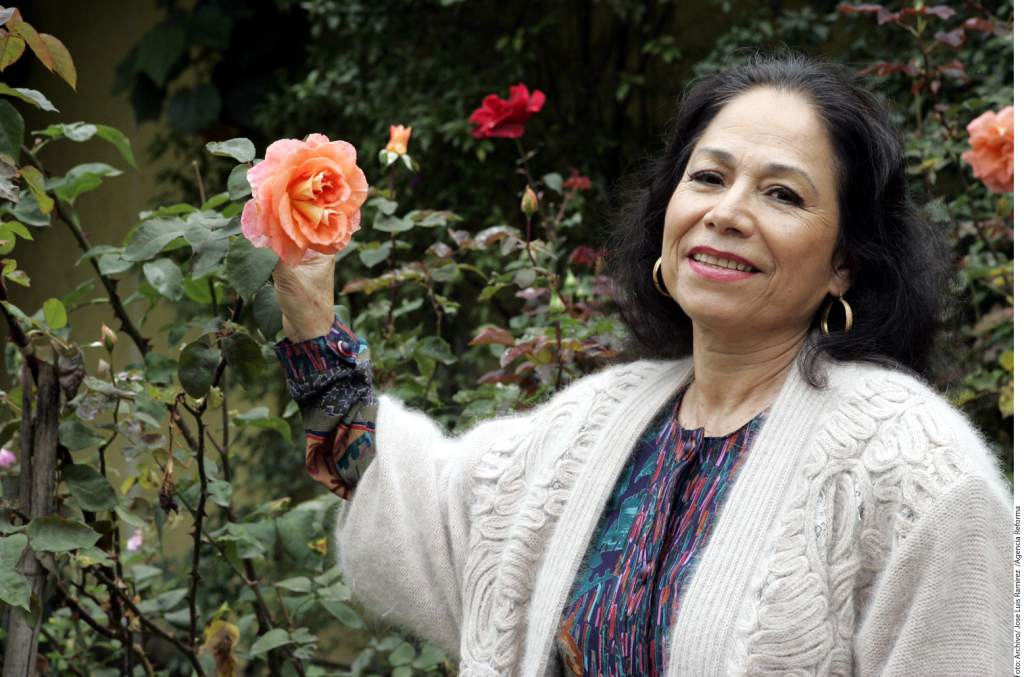 María Elena Velasco - EcuRed