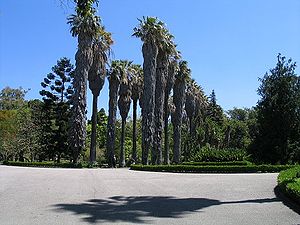 Jardim Museu Agricola Tropical Lisboa 1.JPG