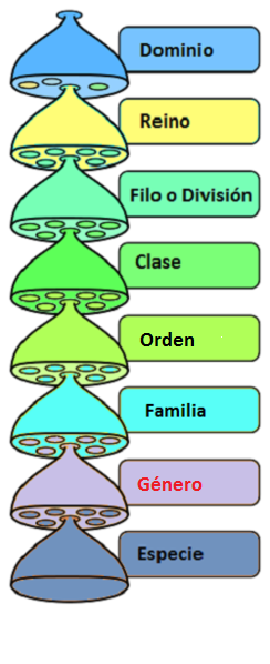 Especie Biologica