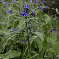 T d6abc794d638b380abe13a095964d822.jpg