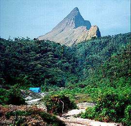 270px-Pico da Neblina.jpg