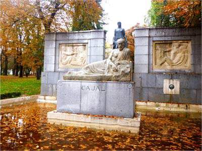 Del conjunto 5,60 x 12,50 x 11,50 m