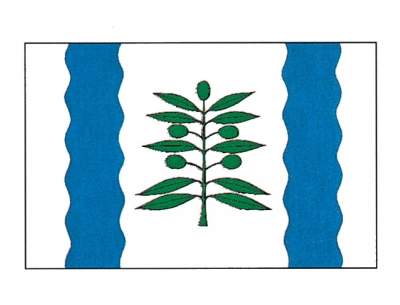 Archivo:Bandera de Cinco Olivas.jpg