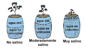 Salinidad de los suelos.jpg