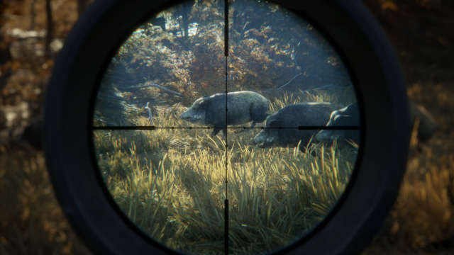 Archivo:Thehunter-call-of-the-wild-pc-full-espanol-1.jpg