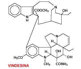Archivo:Vindesina.jpg