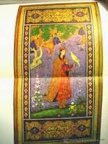 Halcon del rey sindabad.jpeg