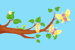 El miedo de las mariposas.jpg