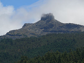 Parque nacional Cofre de Perote.jpg