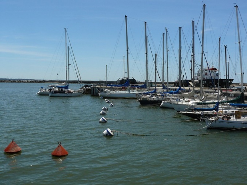 Archivo:Categorias39 839.jpg