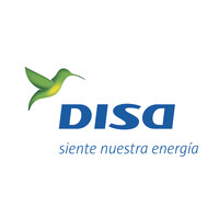 Grupo disa.jpg