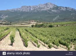 2Sierra de cantabria jc 11.jpg