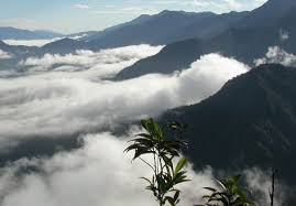 Parque Nacional Natural Munchique.jpg