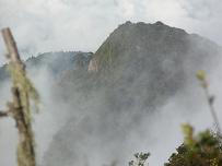 Refugio v s erapuca.jpg