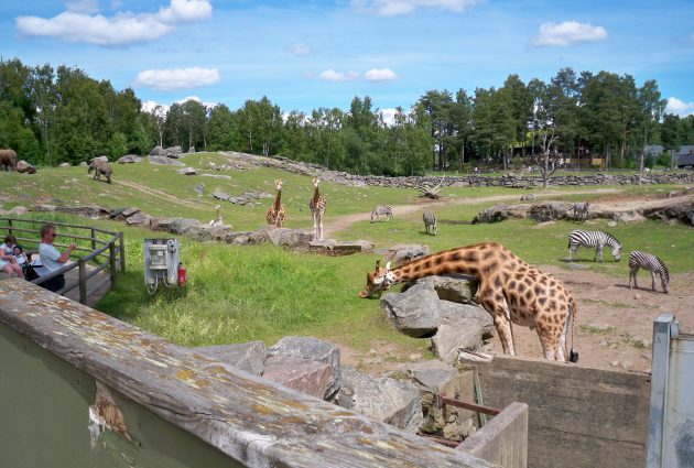 Archivo:Jardim-zoológico-630x425.jpg
