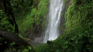 Archivo:Santuario de Fauna y Flora Otún Quimbaya.jpg